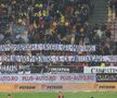 Toate mesajele apărute pe stadion la Rapid - Dinamo