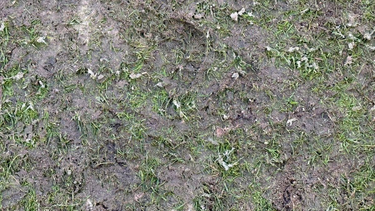 Rapid - Dinamo, imagini înaintea derby-ului din etapa 28