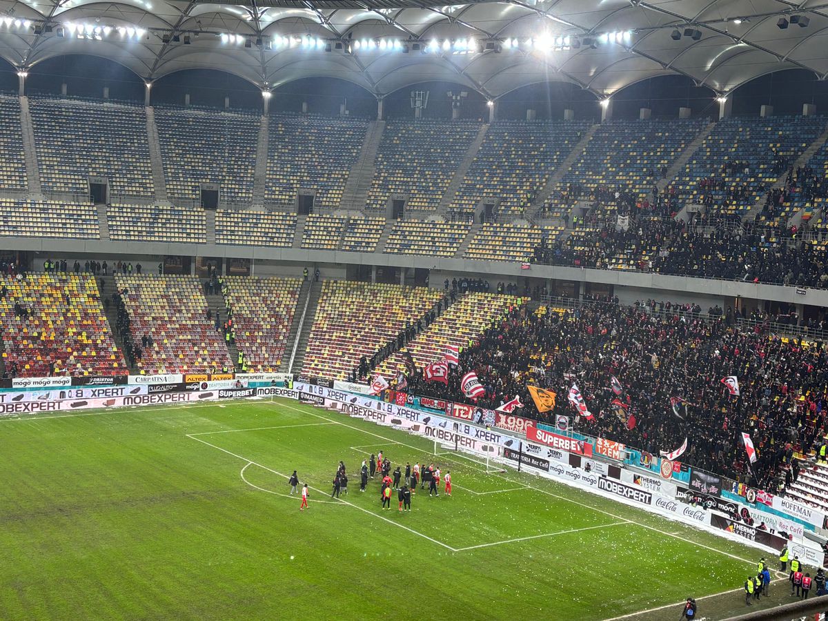 Ce s-a întâmplat pe gazon, dar mai ales în lojă, imediat după Rapid - Dinamo: „Aduceți penele!”