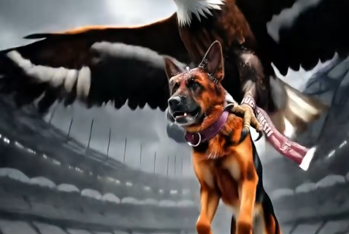 „Chiar dacă știm că nu a fost pană de vultur” » Fanii rapidiști au dat replica usturătoare pentru Dinamo