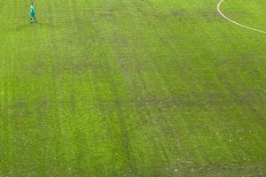 După Rapid - Dinamo, dezastrul » Așa arată gazonul Arenei Naționale înainte de FCSB - Metaloglobus