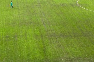 După Rapid - Dinamo, dezastrul » Așa arată gazonul Arenei Naționale înainte de FCSB - Metaloglobus