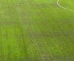 Gazonul de pe Arena Națională, la finalul derby-ului Rapid - Dinamo