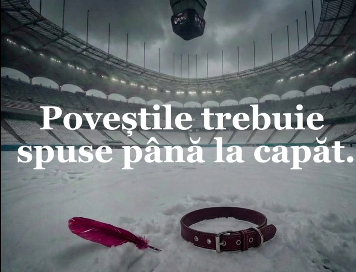 „Chiar dacă știm că nu a fost pană de vultur” » Fanii rapidiști au dat replica usturătoare pentru Dinamo