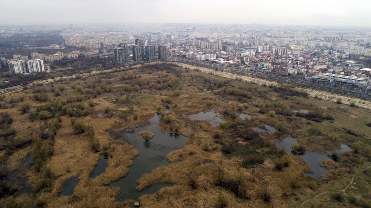 Gigel a evadat din junglă ca să se facă Ronaldo » Povestea emoționantă a micului fotbalist crescut în sălbăticie + cum îl poți ajuta