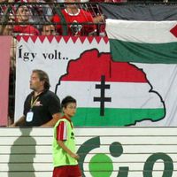 Steagul Ungariei Mari, permis de UEFA!