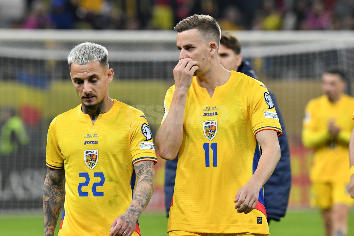 Ce s-a întâmplat pe gazon, imediat după România - Bosnia