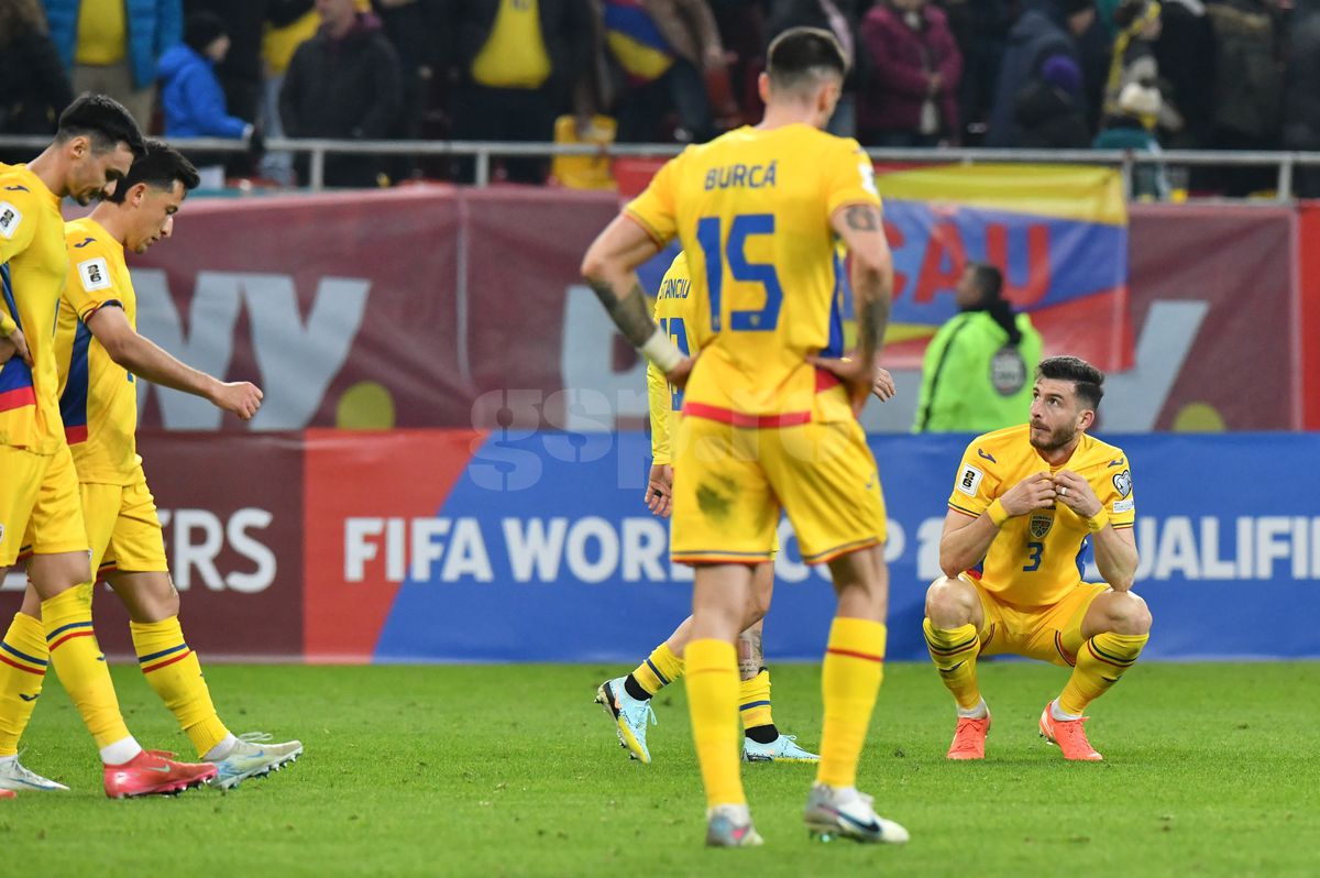 Ce s-a întâmplat pe gazon, imediat după România - Bosnia