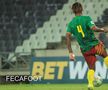 Camerun - Eswatini