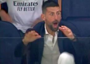 Novak Djokovic a „explodat” de bucurie în lojă » Cum a trăit golul marcat de Real Madrid