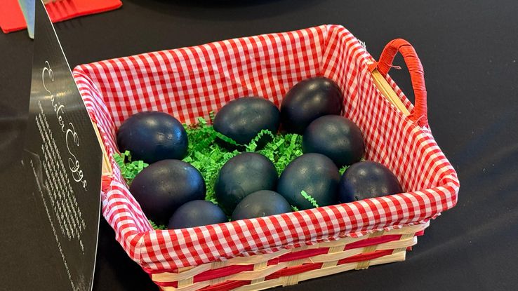 Dinamo - Universitatea Craiova, 21.04.2025 // Cum arată meniul la VIP / foto: Andrei Crăițoiu (GSP)