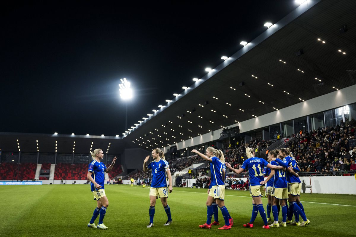 Englezii se consideră umiliți de Serbia: „Jucăm pe un stadion mai mic decât unele din liga noastră a patra!”