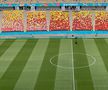 Cum arată gazonul de pe Arena Națională înaintea duelului decisiv Austria - Ucraina » Mesajul administratorilor stadionului