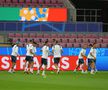 Antrenament oficial România, înaintea meciului cu Belgia FOTO Andrei Crăițoiu (GSP)