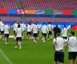 Antrenament oficial România, înaintea meciului cu Belgia FOTO Andrei Crăițoiu (GSP)