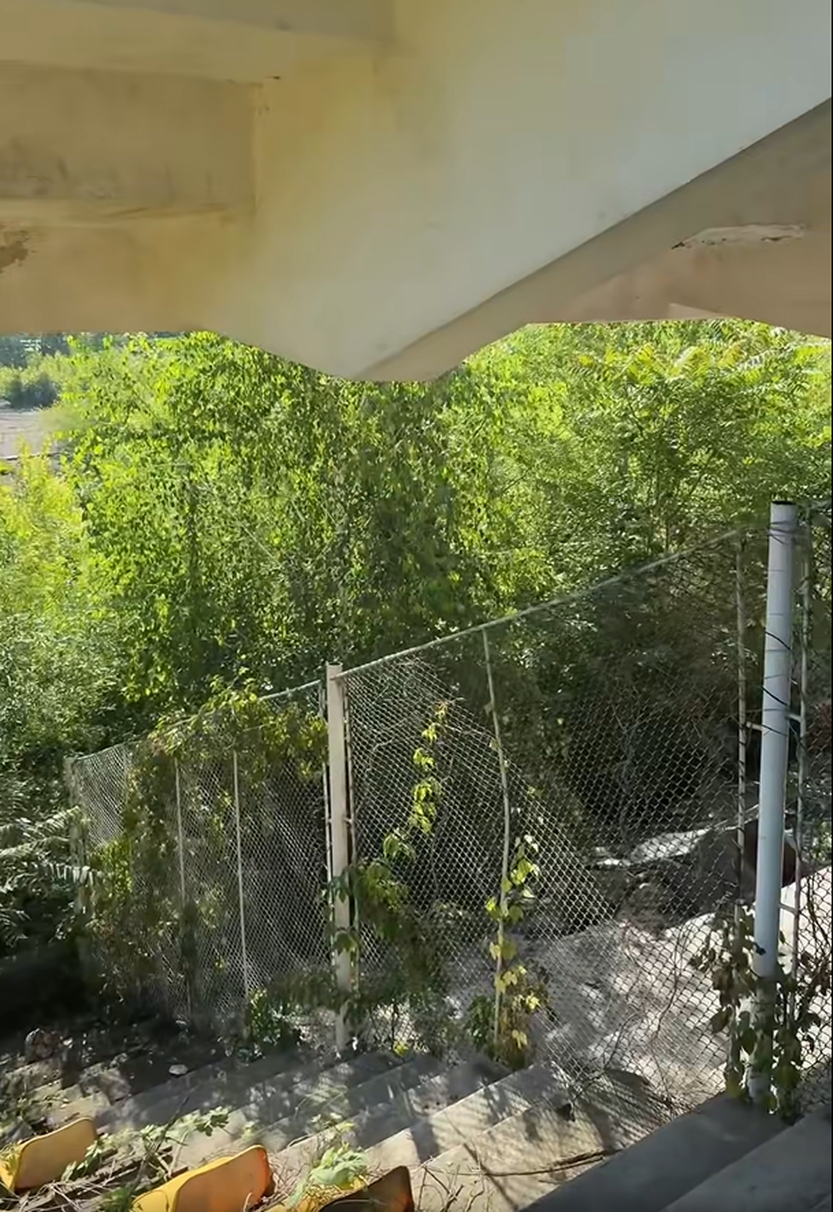 Stadionul din Bacău pe 19 iunie 2025