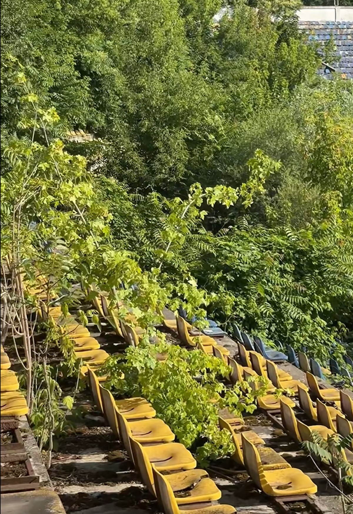 Formația susținută de frații Pavăl omologhează două stadioane pentru Liga 2: care este explicația