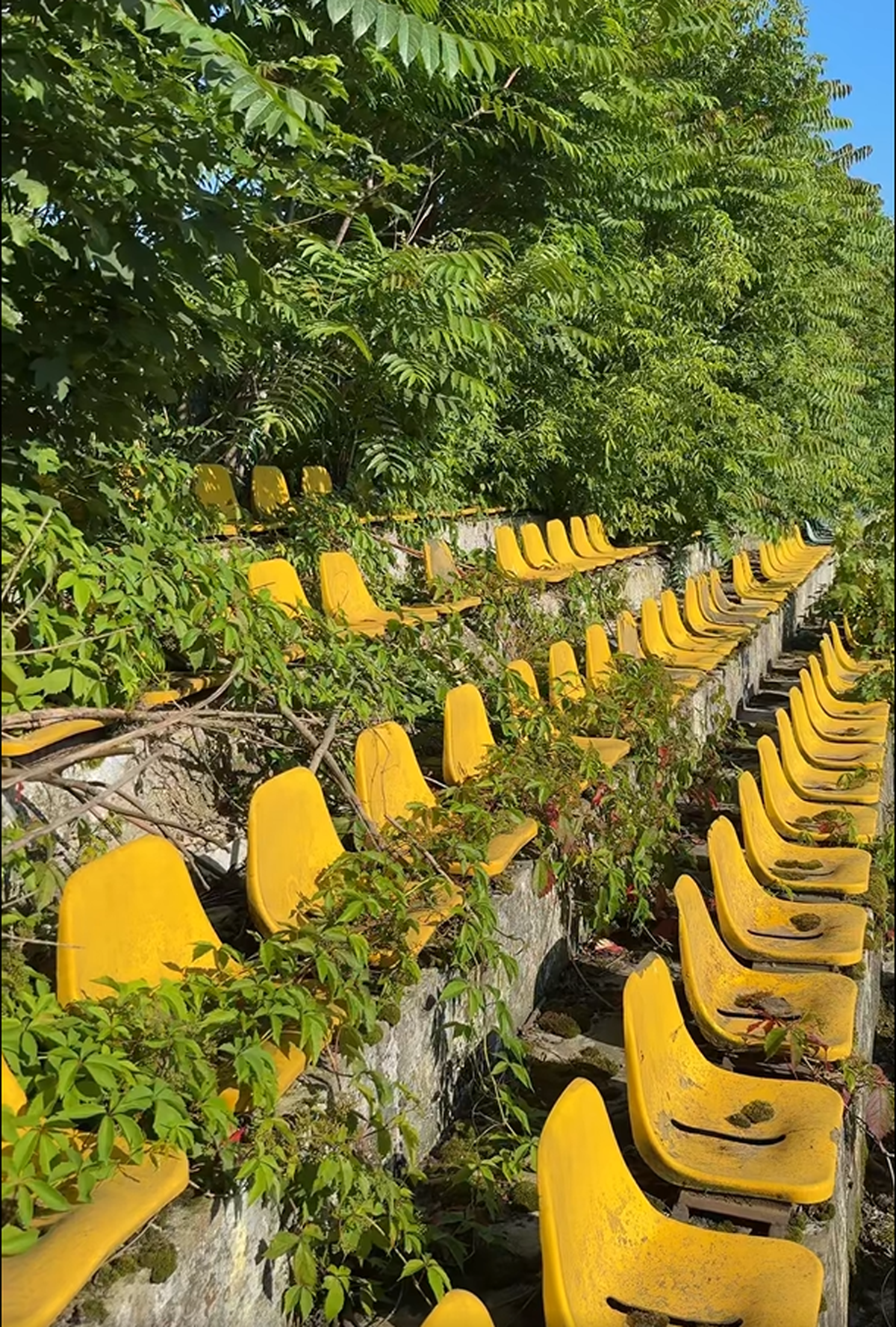 Formația susținută de frații Pavăl omologhează două stadioane pentru Liga 2: care este explicația