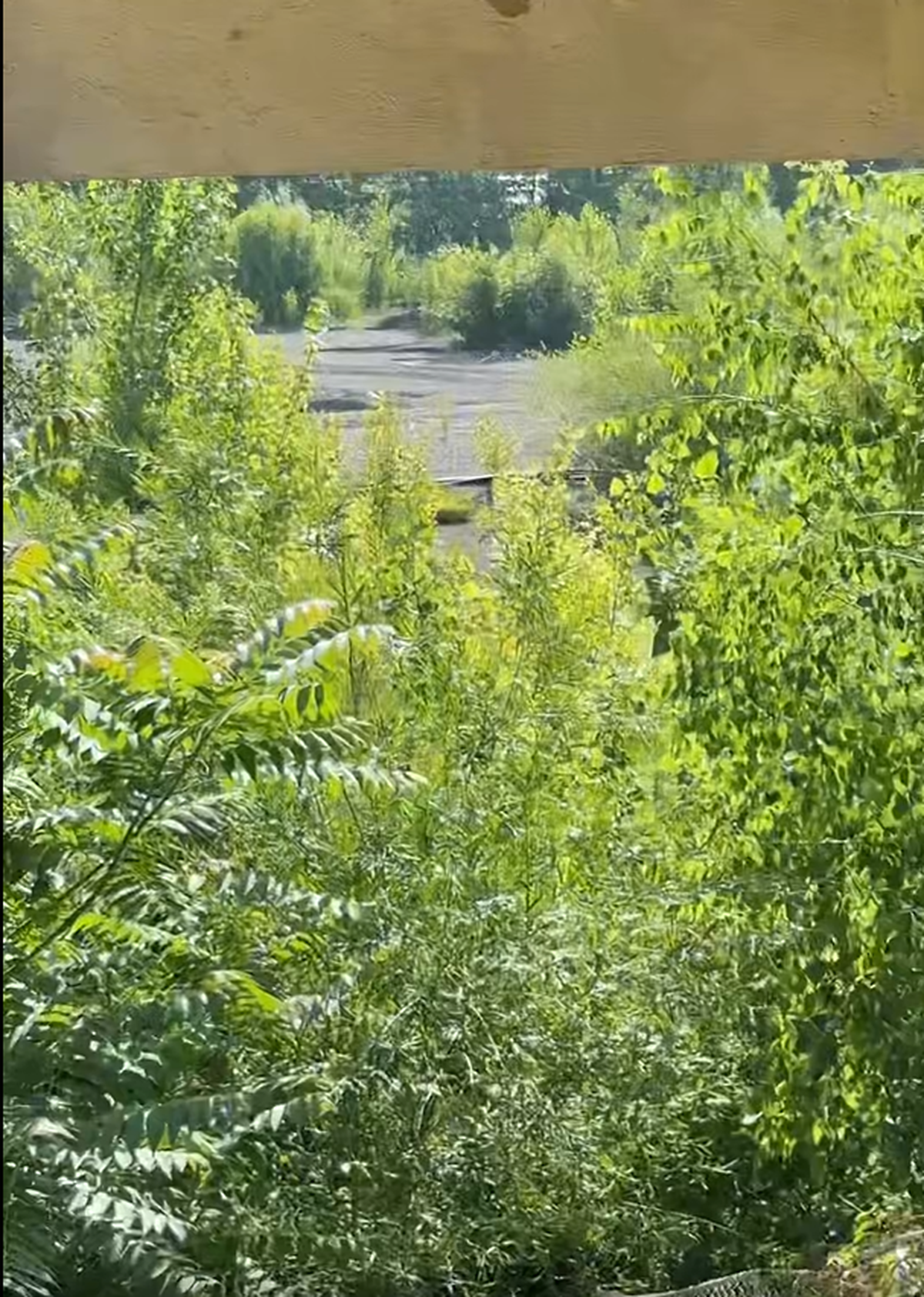 Stadionul din Bacău pe 19 iunie 2025