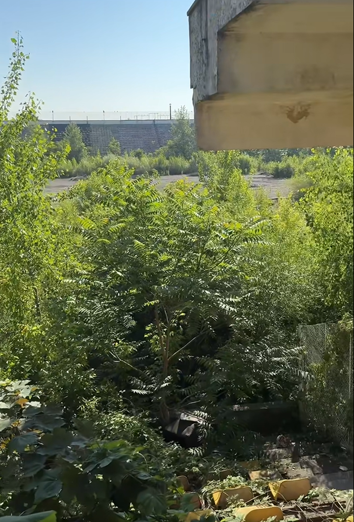 Stadionul din Bacău pe 19 iunie 2025