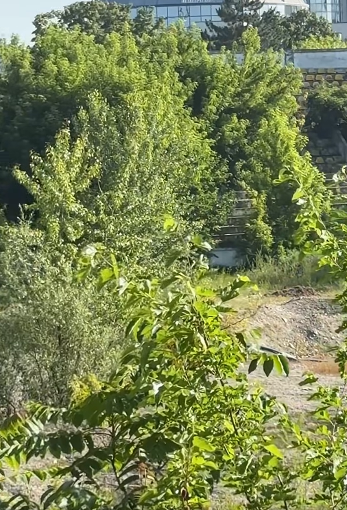 Stadionul din Bacău pe 19 iunie 2025