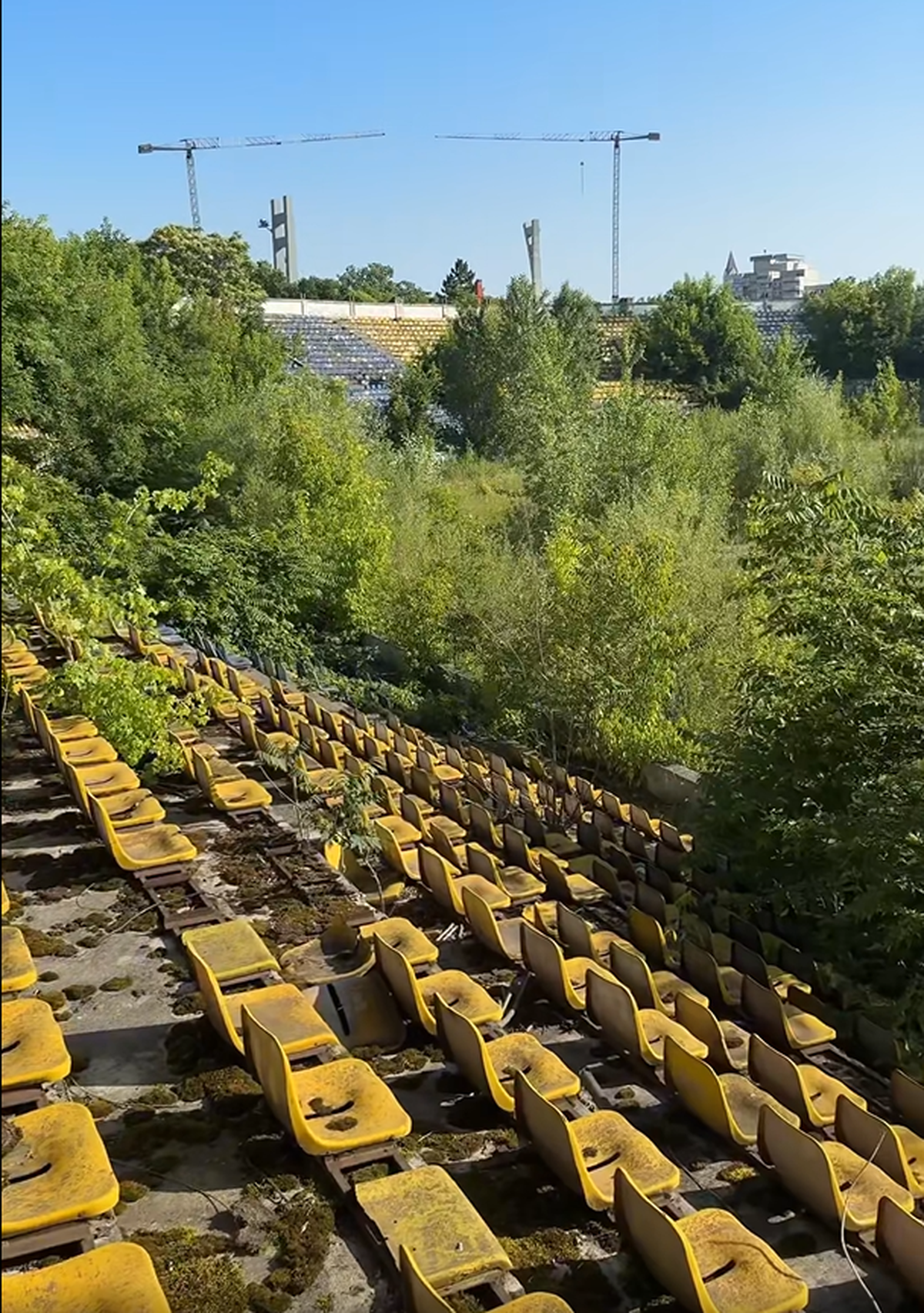 Formația susținută de frații Pavăl omologhează două stadioane pentru Liga 2: care este explicația