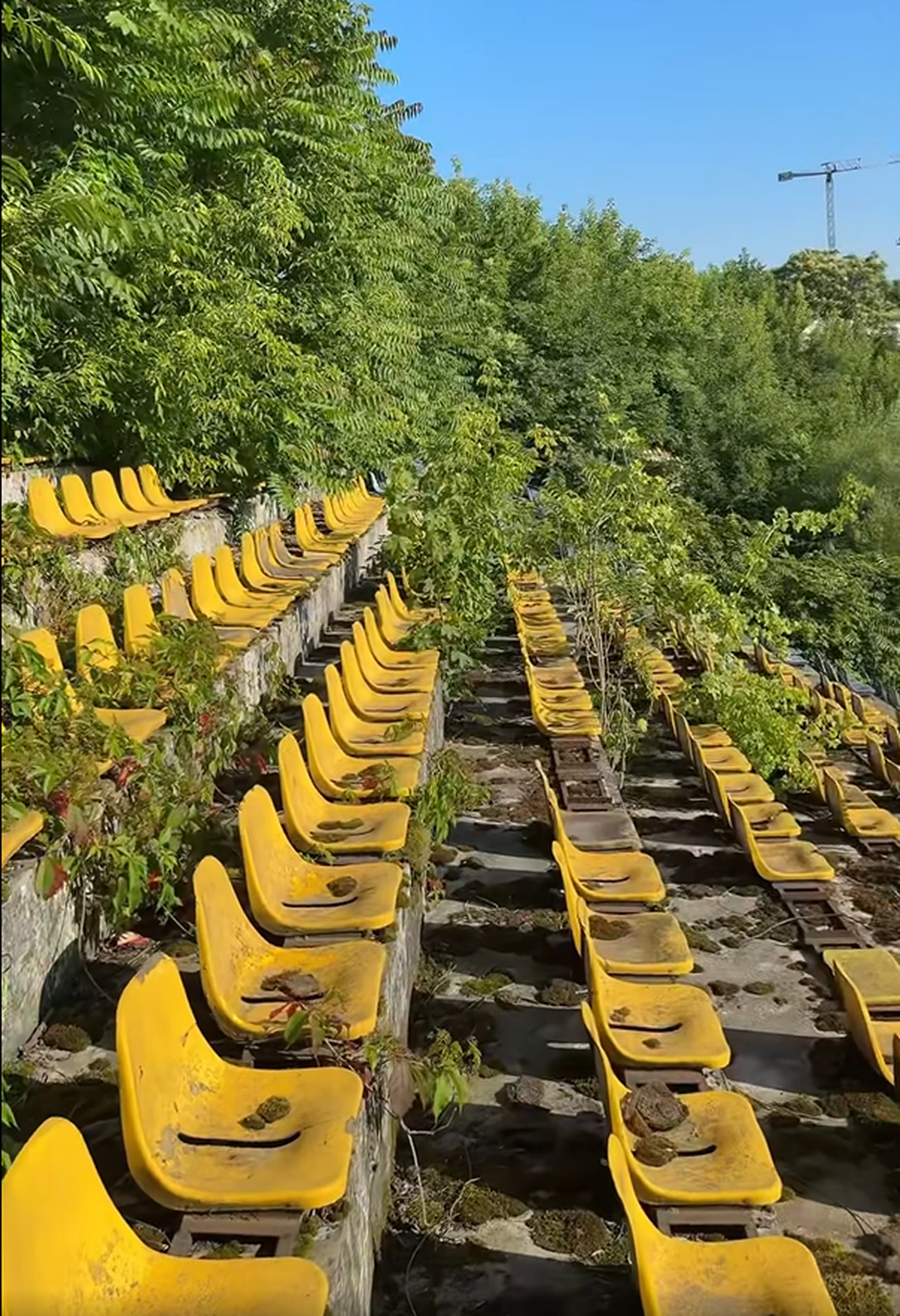 Formația susținută de frații Pavăl omologhează două stadioane pentru Liga 2: care este explicația