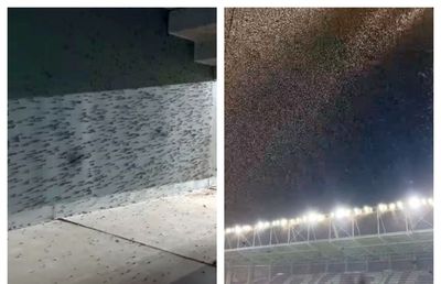 Sold-out, dar o mare problemă la Olanda - România în semifinalele Euro U19: „Nu există soluții”