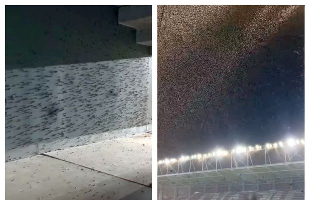 Sold-out, dar o mare problemă la Olanda - România în semifinalele Euro U19: „Nu există soluții”