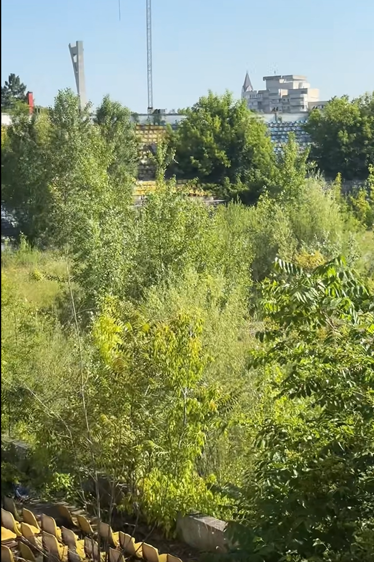 Stadionul din Bacău pe 19 iunie 2025