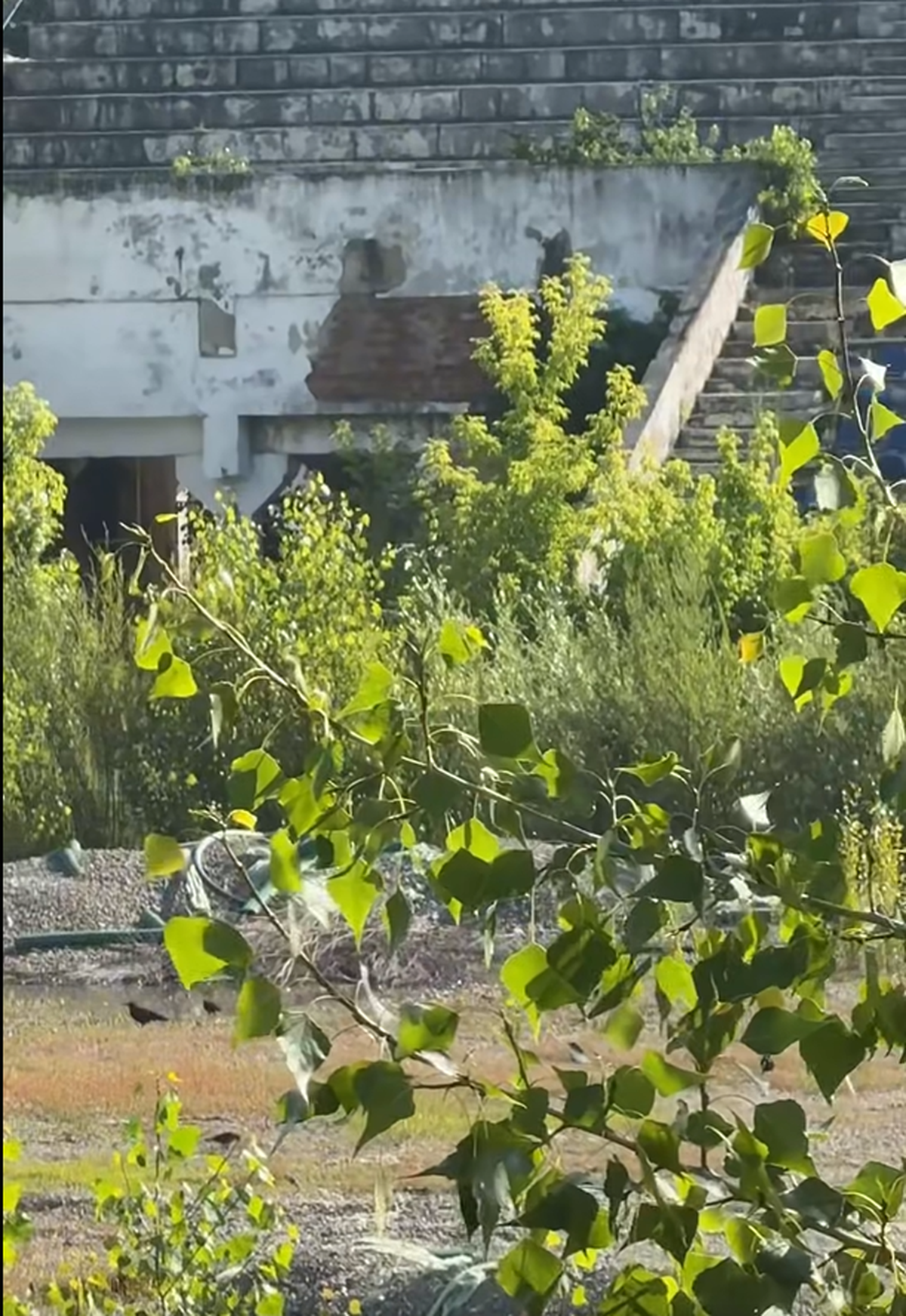 Stadionul din Bacău pe 19 iunie 2025