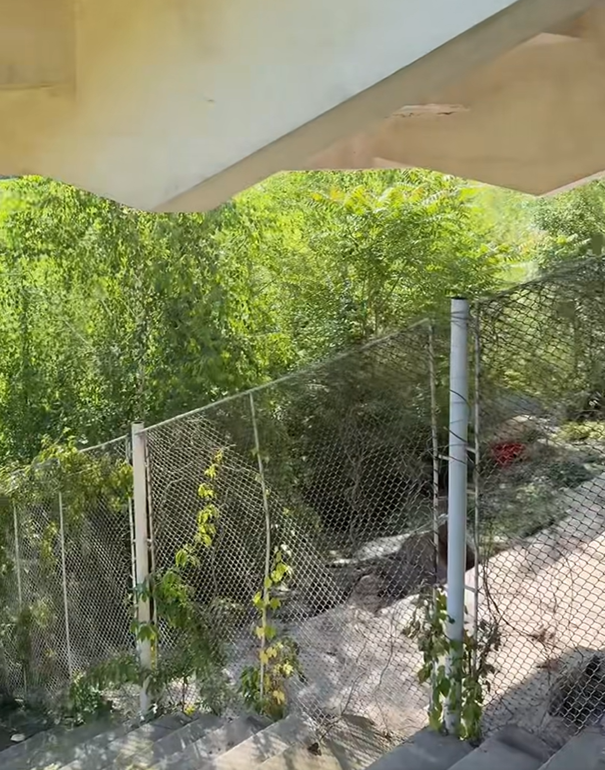 Formația susținută de frații Pavăl omologhează două stadioane pentru Liga 2: care este explicația