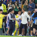 Selecționerii Tunisiei și Japoniei, reacții după duelul de la Campionatul Mondial  // foto: Imago Images
