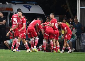 Amenzi usturătoare după Dinamo - Petrolul! „Câinii” au fost amendați cu mii de euro