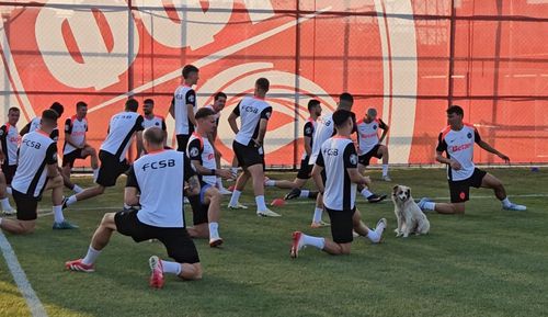 CORESPONDENȚĂ GSP DIN SKOPJE Câinele, cel mai bun prieten al campionilor la Skopje! Jucătorii de la FCSB l-au adoptat și s-au antrenat cu patrupedul