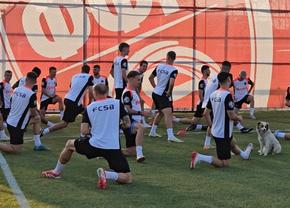 Câinele, cel mai bun prieten al campionilor la Skopje! Jucătorii de la FCSB l-au adoptat și s-au antrenat cu patrupedul