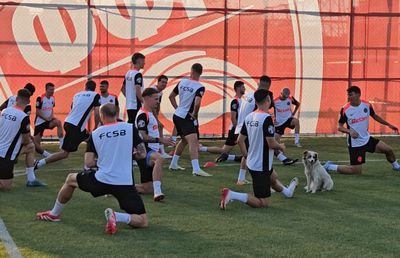 Câinele, cel mai bun prieten al campionilor la Skopje! Jucătorii de la FCSB l-au adoptat și s-au antrenat cu patrupedul