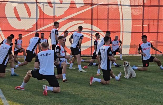Câinele, cel mai bun prieten al campionilor la Skopje! Jucătorii de la FCSB l-au adoptat și s-au antrenat cu patrupedul