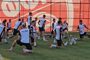 Câinele, cel mai bun prieten al campionilor la Skopje! Jucătorii de la FCSB l-au adoptat și s-au antrenat cu patrupedul