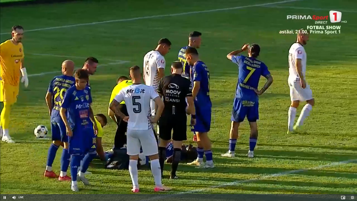 Faultul lui Palmeș asupra lui Afalna