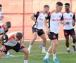 FCSB, antrenament înainte de meciul cu Shkendija // foto: Andrei Furnigă
