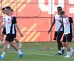 FCSB, antrenament înainte de meciul cu Shkendija // foto: Andrei Furnigă