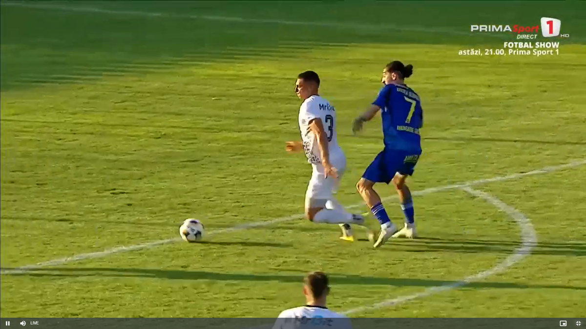 Faultul lui Palmeș asupra lui Afalna