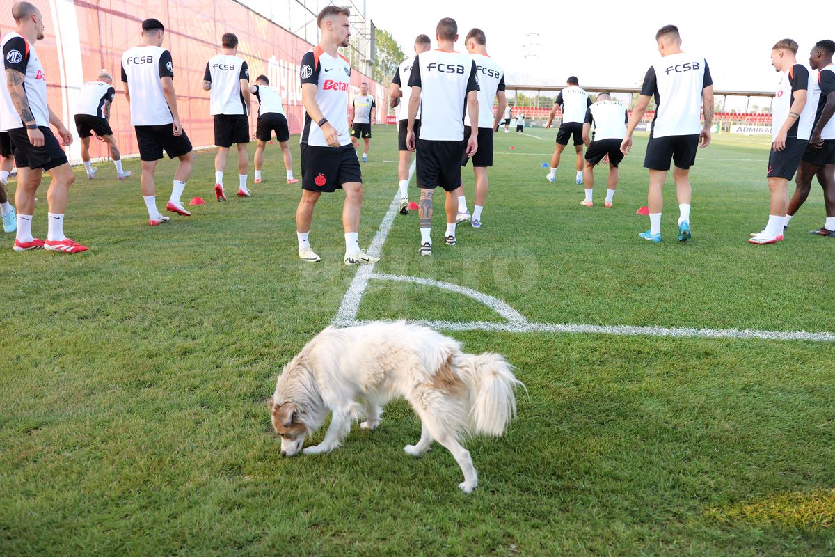 Dennis Politic, OUT din lot pentru Shkendija - FCSB + revenirea confirmată de Elias Charalambous în conferință