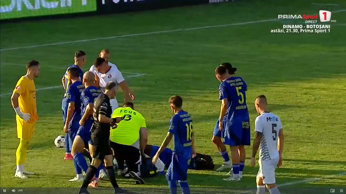 Faultul lui Palmeș asupra lui Afalna