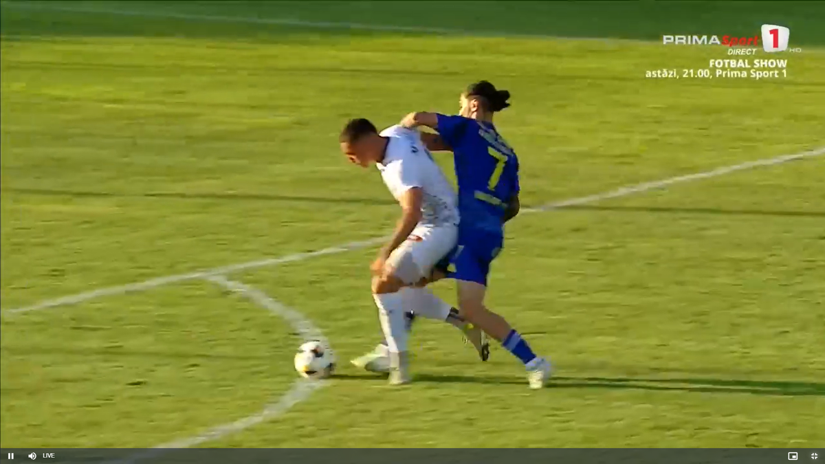 Faultul lui Palmeș asupra lui Afalna