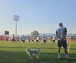 FCSB, antrenament înainte de meciul cu Shkendija // foto: Andrei Furnigă