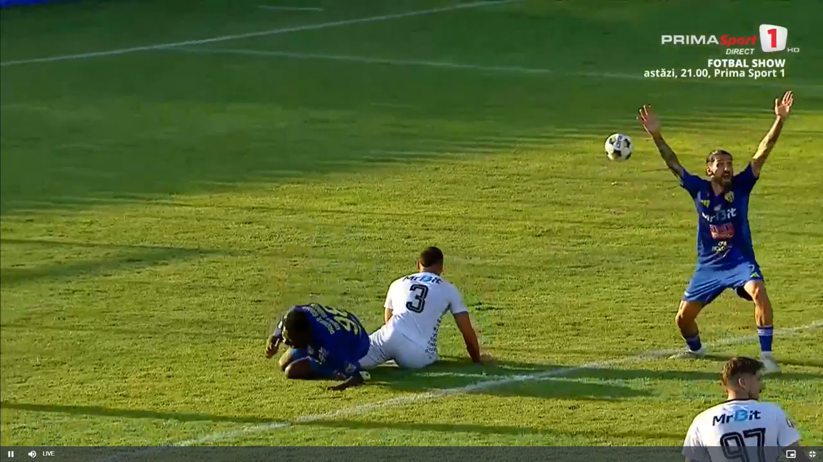 Faultul lui Palmeș asupra lui Afalna