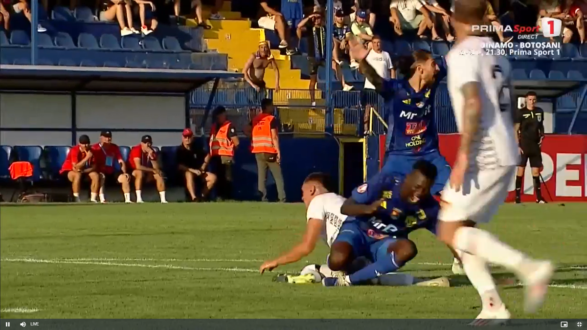 Faultul lui Palmeș asupra lui Afalna