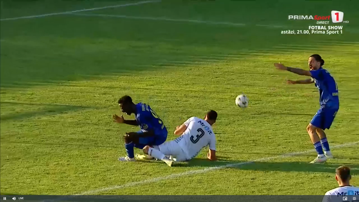 Faultul lui Palmeș asupra lui Afalna